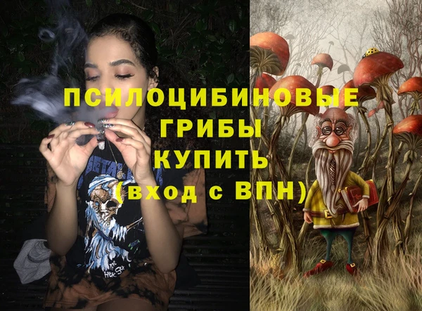 прущие крисы Абинск