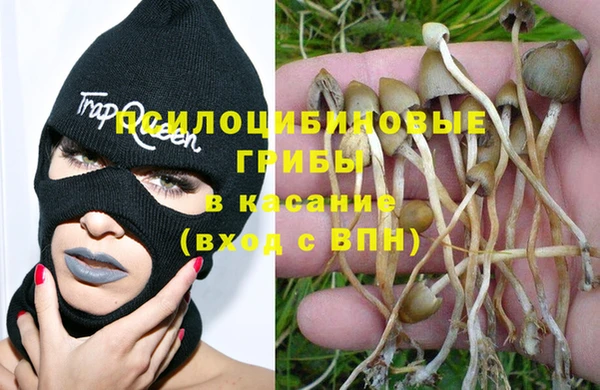 прущие крисы Абинск