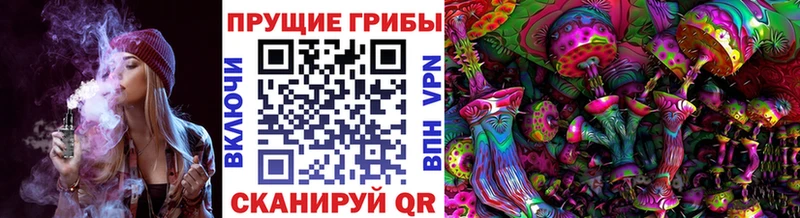 Галлюциногенные грибы прущие грибы  Агрыз 